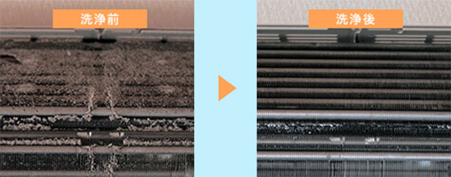 洗浄前と洗浄後の写真